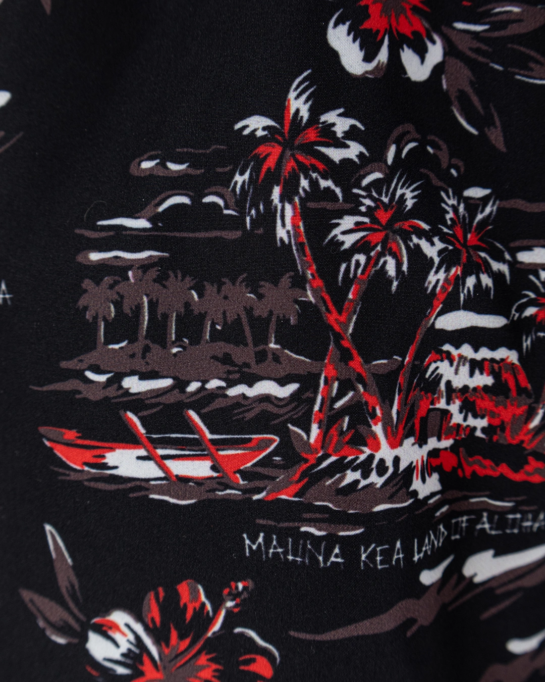 Mauna-Kea шорты — вид 5