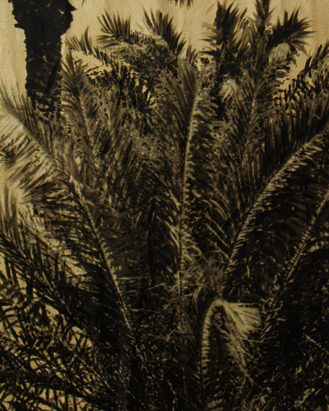 Erika Cavallini блуза — вид 5